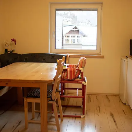 Apartment Haider 1 Obertraun