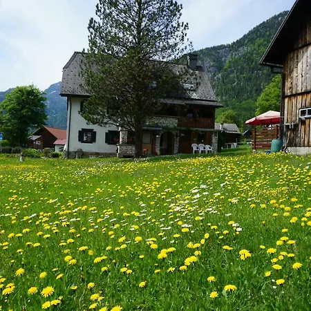 Apartment Haider 1 Obertraun