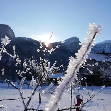 Haider 1 * Obertraun