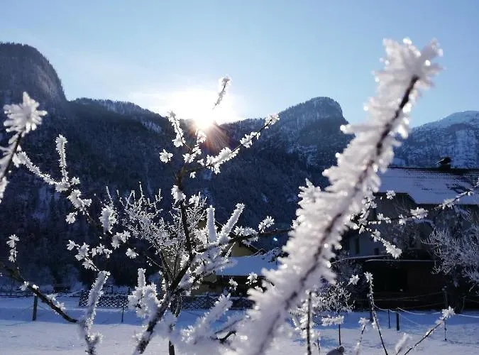 Haider 1 * Obertraun